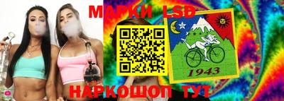 гидра Шахты