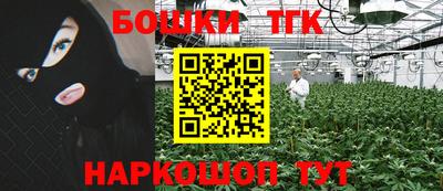 гидра Шахты