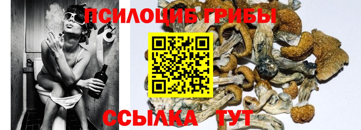Ленинск-Кузнецкий  Галлюциногенные грибы MAGIC MUSHROOMS  Вход с VPN  Галлюциногенные грибы Cubensis 